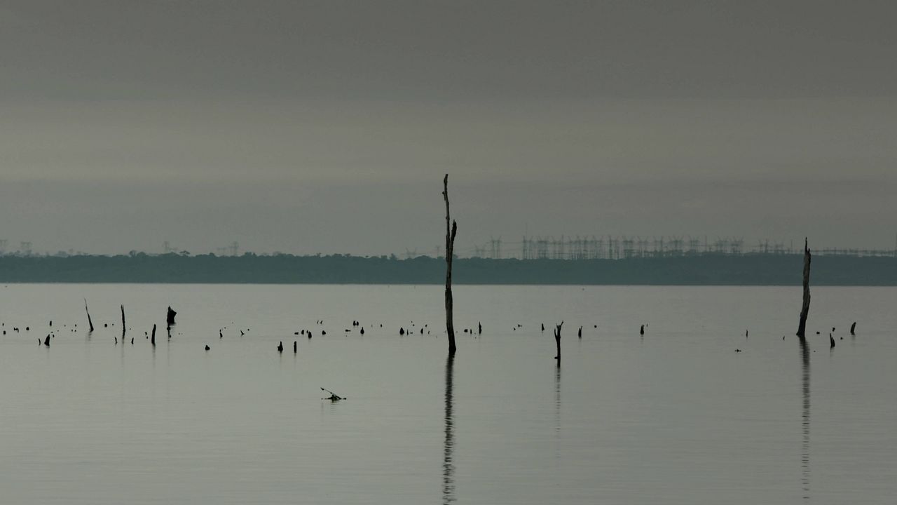 Passerelles : Photo