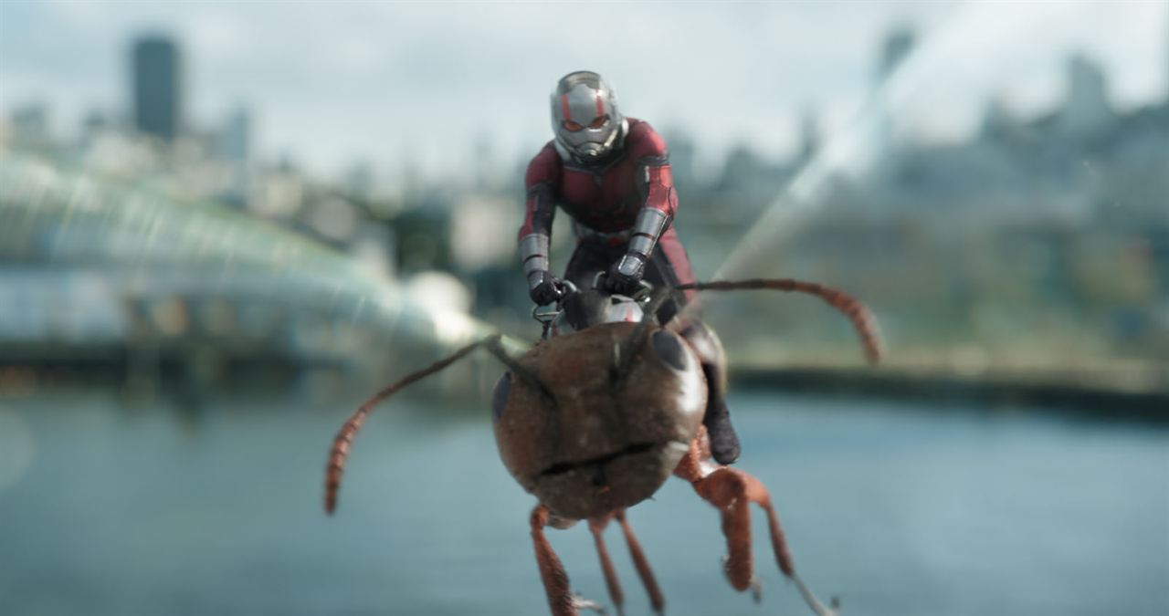 Ant-Man et la Guêpe : Photo Paul Rudd