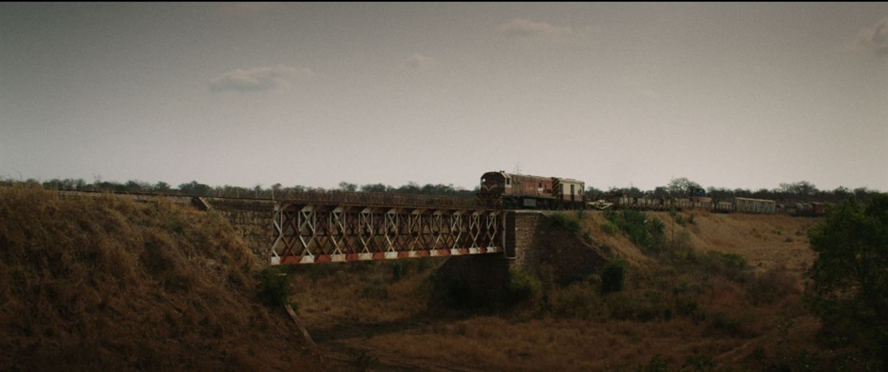 Le Train de sel et de sucre : Photo