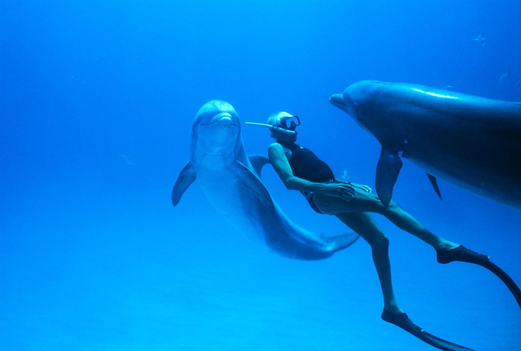 L'Homme dauphin, sur les traces de Jacques Mayol : Photo