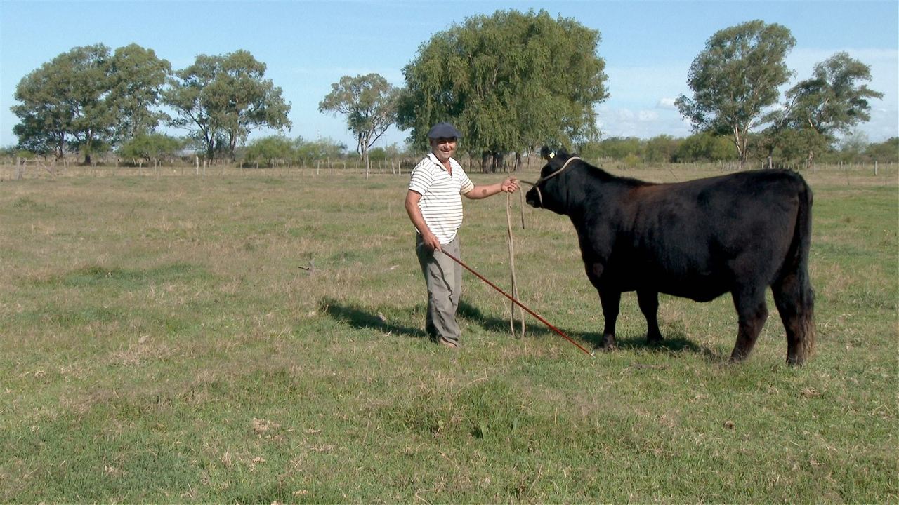 Todo sobre el asado : Photo