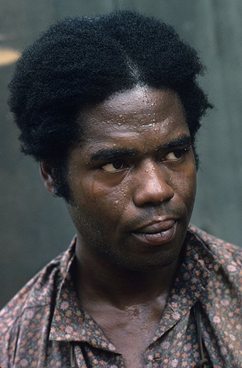 Racines (1977) : Photo