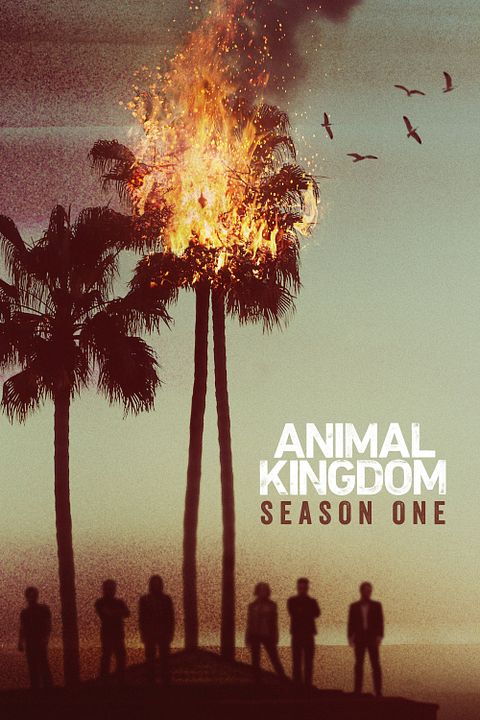 Animal Kingdom : Affiche