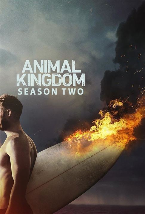 Animal Kingdom : Affiche