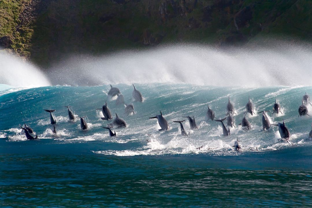 Océans : Notre planète bleue : Photo