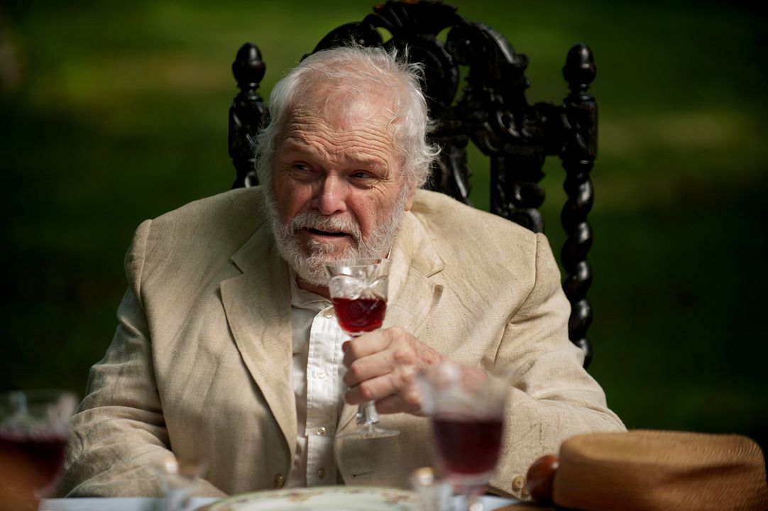 The Seagull : Photo Brian Dennehy