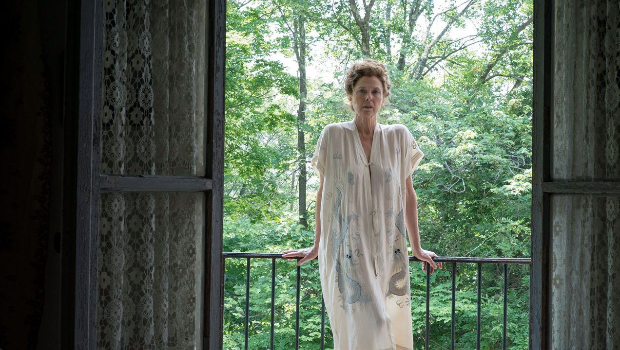 The Seagull : Photo Annette Bening