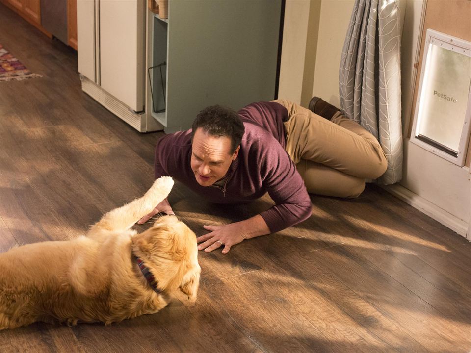 American Housewife (2016) : Photo Diedrich Bader