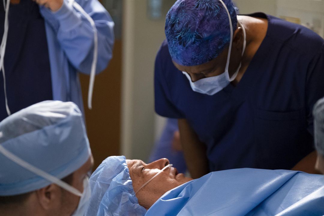 Grey's Anatomy : Photo James Pickens Jr., Mark L. Taylor