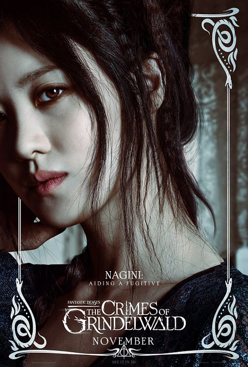 Les Animaux fantastiques : Les crimes de Grindelwald : Affiche
