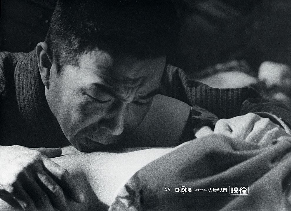Le Pornographe : Photo