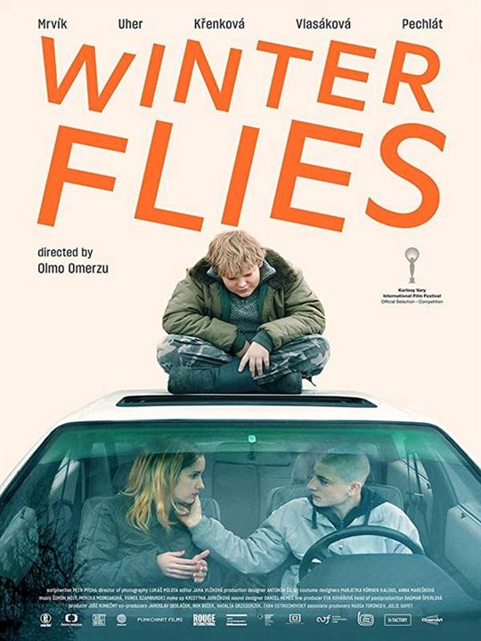 Winter Flies : Affiche