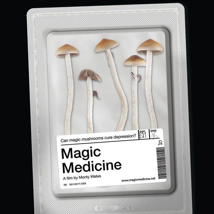 Magic Medicine : Les champignons contre la dépression : Affiche