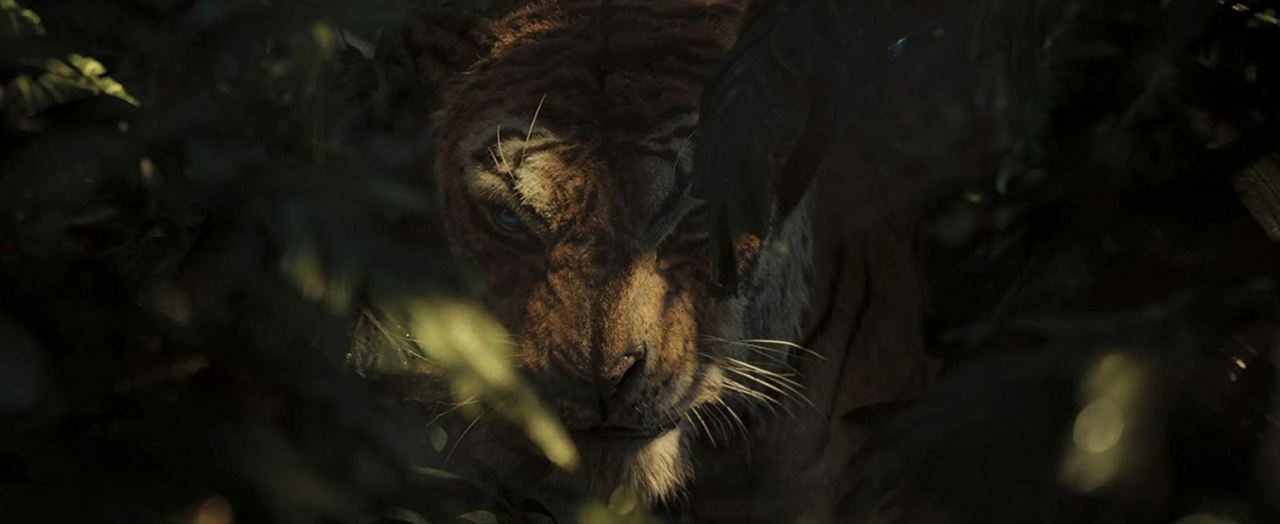 Mowgli : la légende de la jungle : Photo