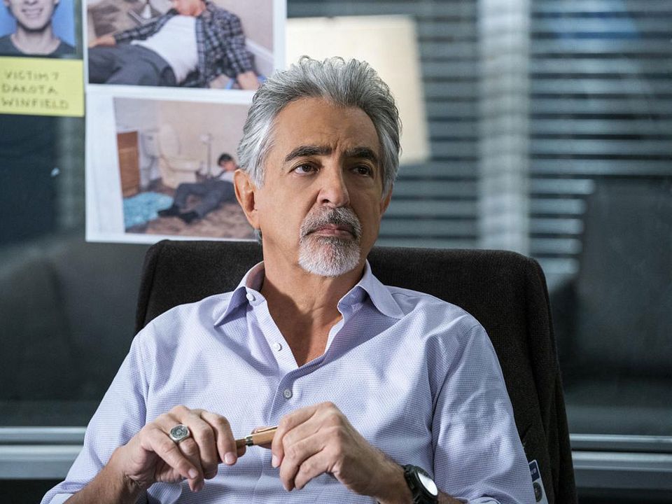Esprits criminels : Photo Joe Mantegna