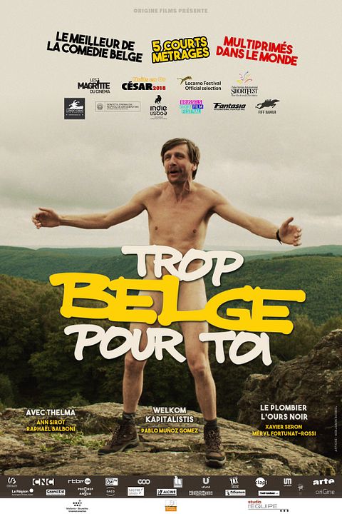 Trop Belge pour toi : Affiche