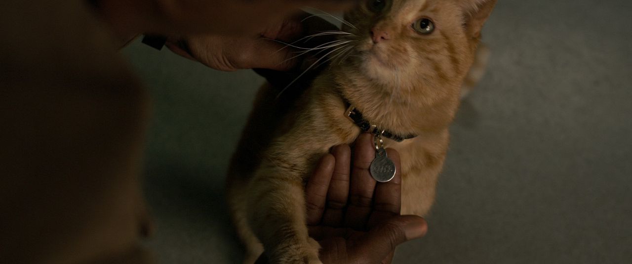 Captain Marvel : Photo