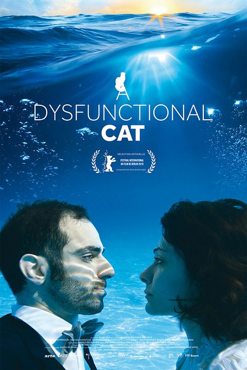 A Dysfunctional cat : Affiche