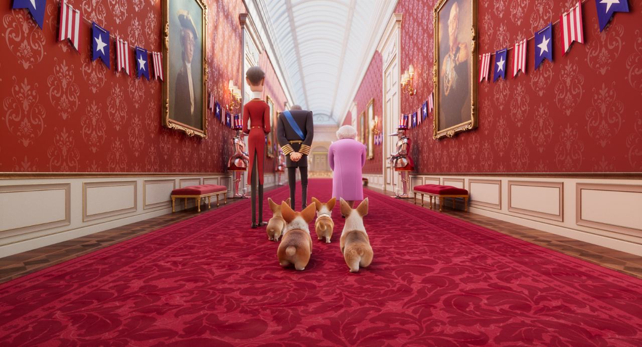 Royal Corgi : Photo