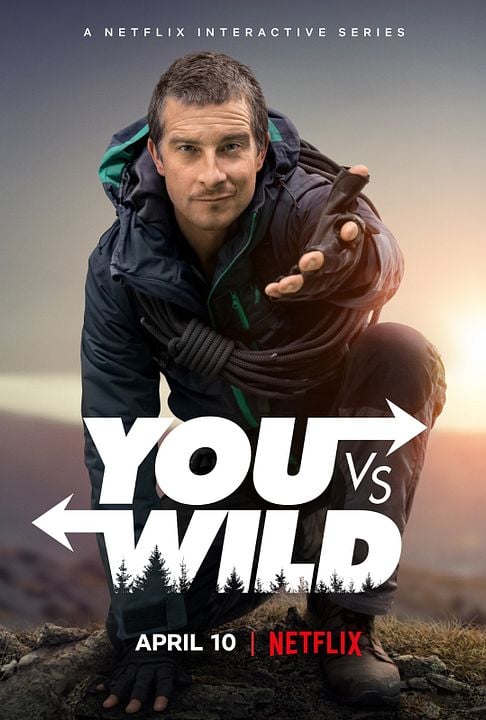 You Vs. Wild : Affiche