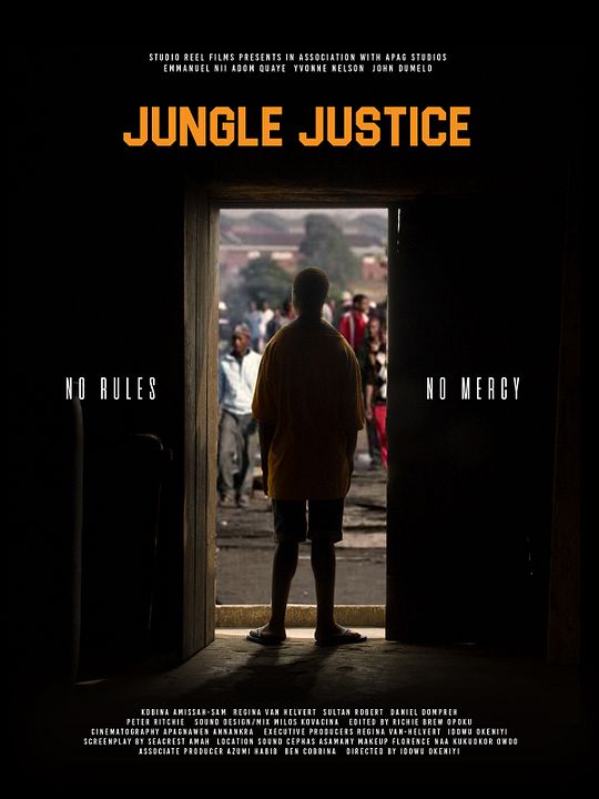 Nollywood 2019 Festival du Cinéma Nigérien : programme de courts métrages : Photo