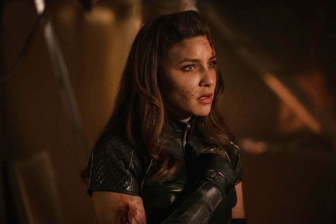 Arrow : Photo Juliana Harkavy