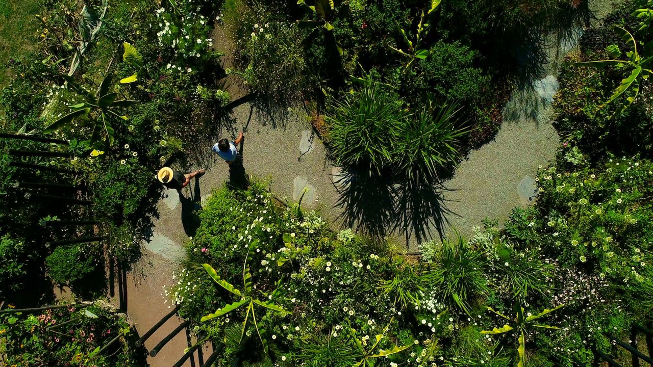 Le Jardin Des Cimes - Une Enclave En Altitude : Photo