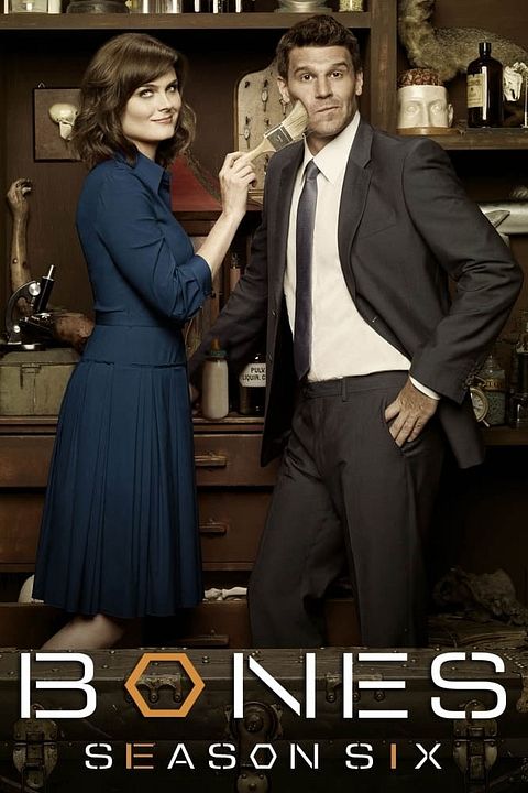Bones : Affiche