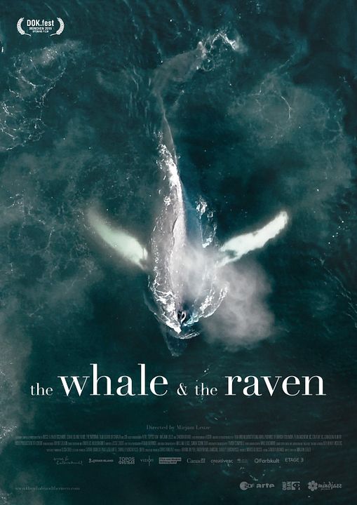 La Baleine & le corbeau : Affiche