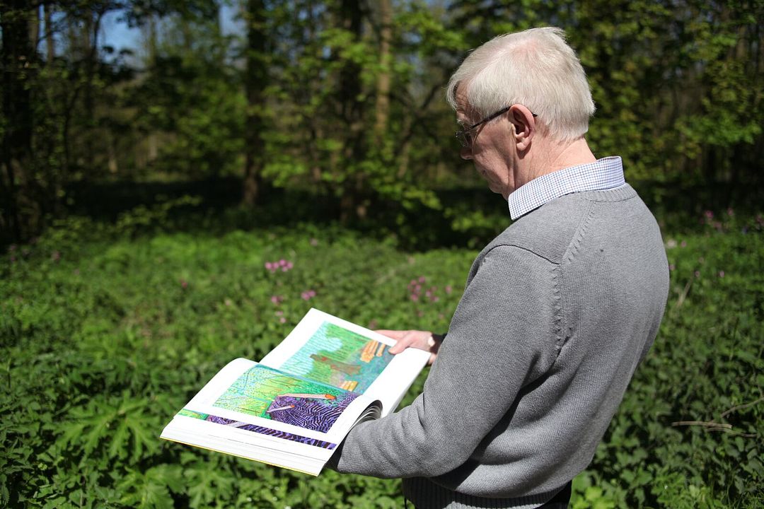 David Hockney : le temps retrouvé : Photo