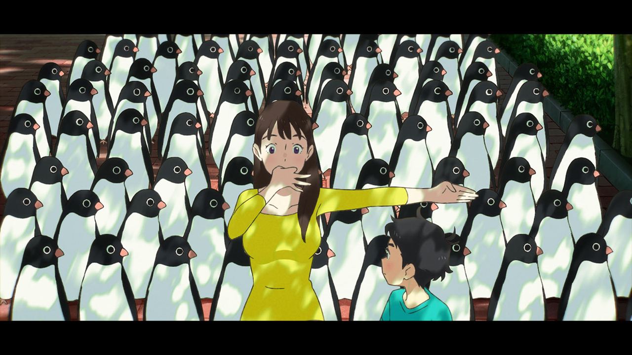 Le Mystère des pingouins : Photo