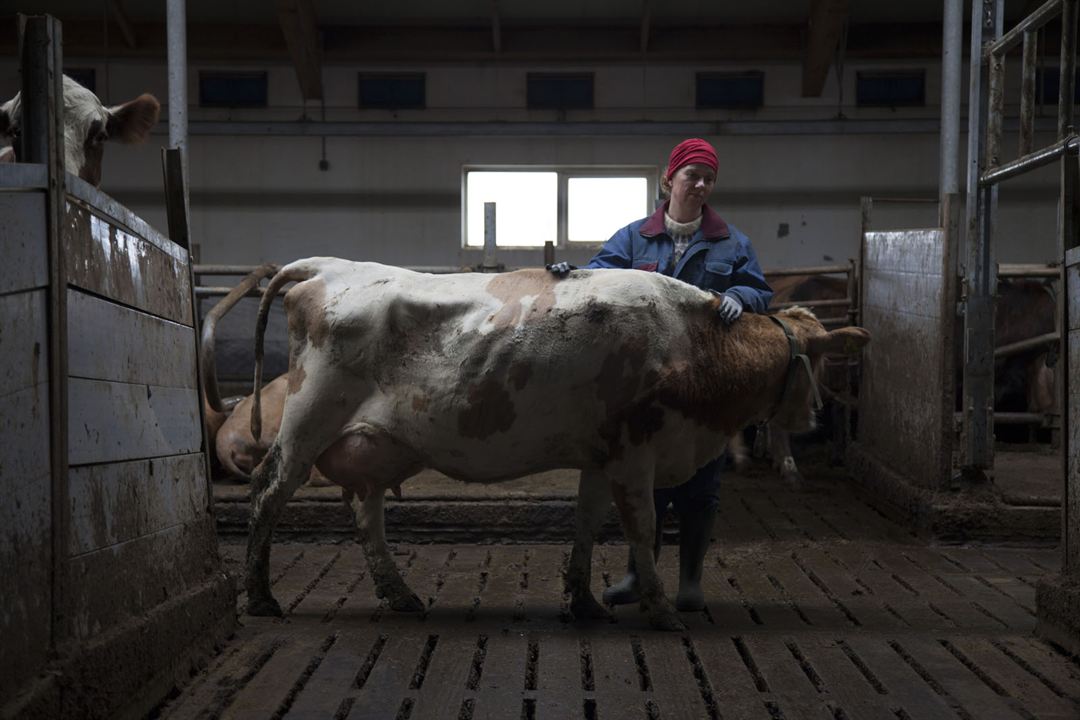 MJÓLK, La guerre du lait : Photo Arndís Hrönn Egilsdóttir