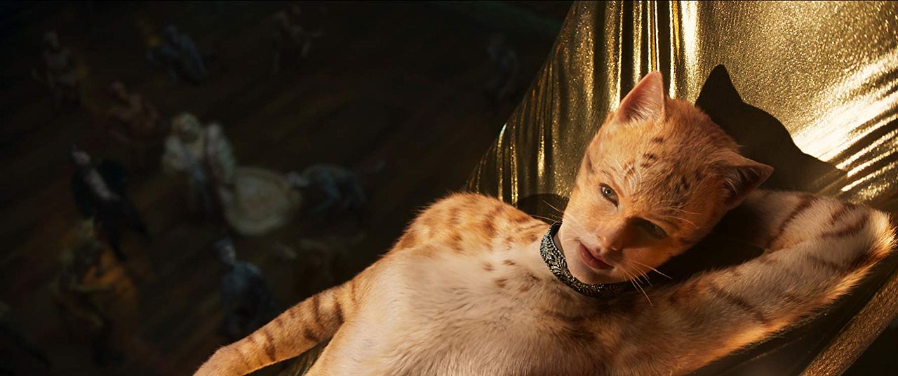 Cats : Photo Taylor Swift
