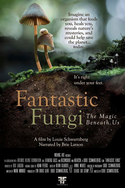Fantastic Fungi : Affiche