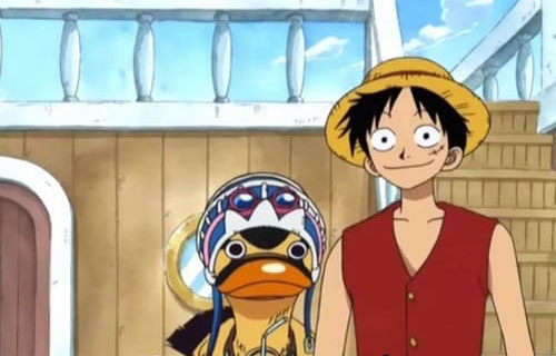 One Piece : Photo