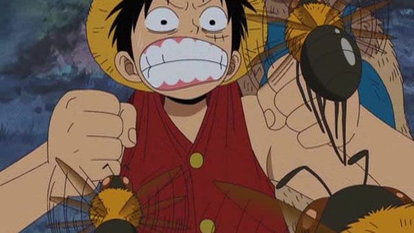One Piece : Photo