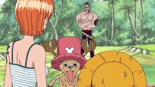 One Piece : Photo