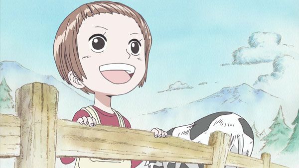 One Piece : Photo