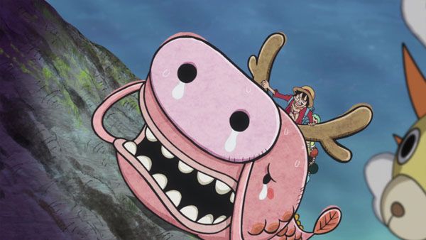 One Piece : Photo