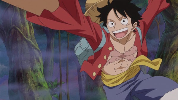 One Piece : Photo