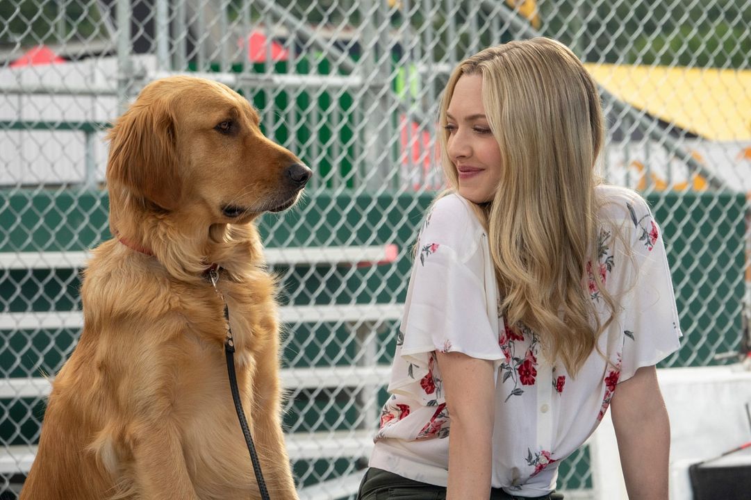 Dans les yeux d'Enzo : Photo Amanda Seyfried