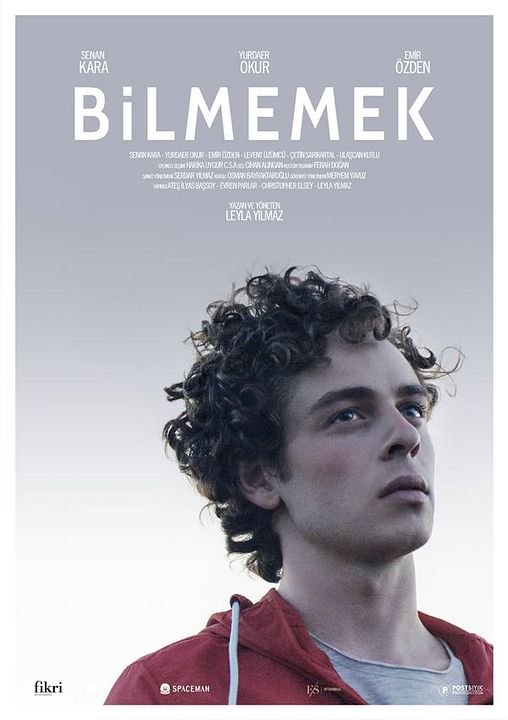 Une âme secrète : Affiche