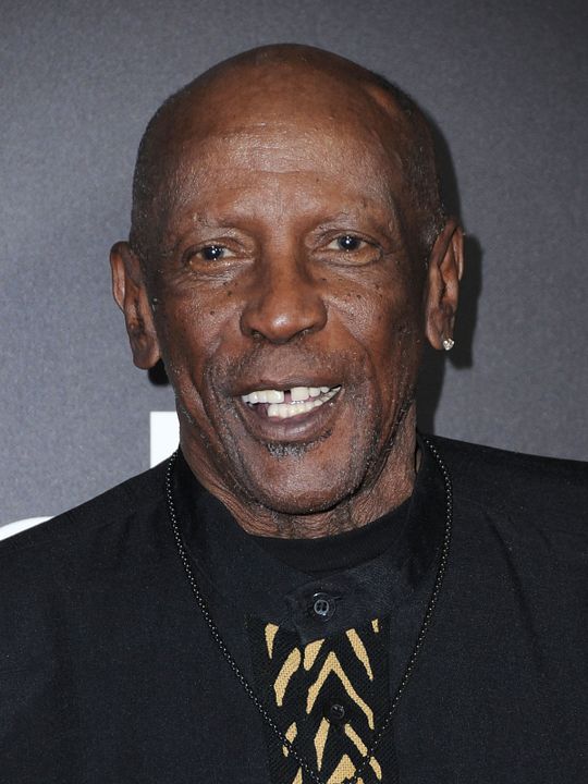 Affiche Louis Gossett Jr.