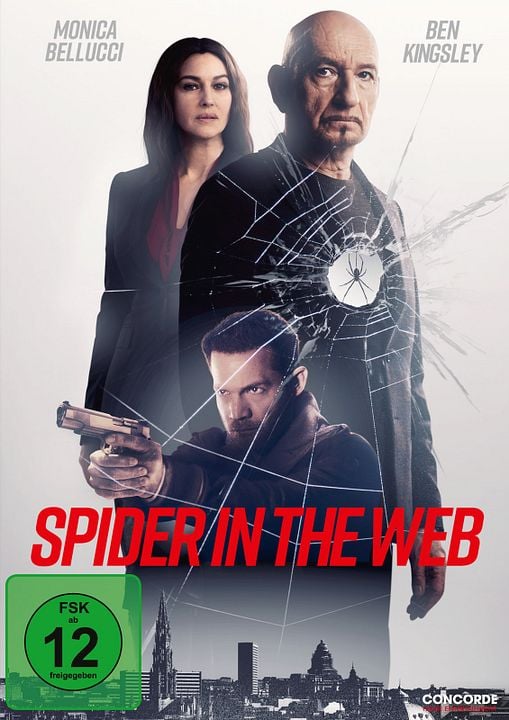 Spider in the Web : Affiche