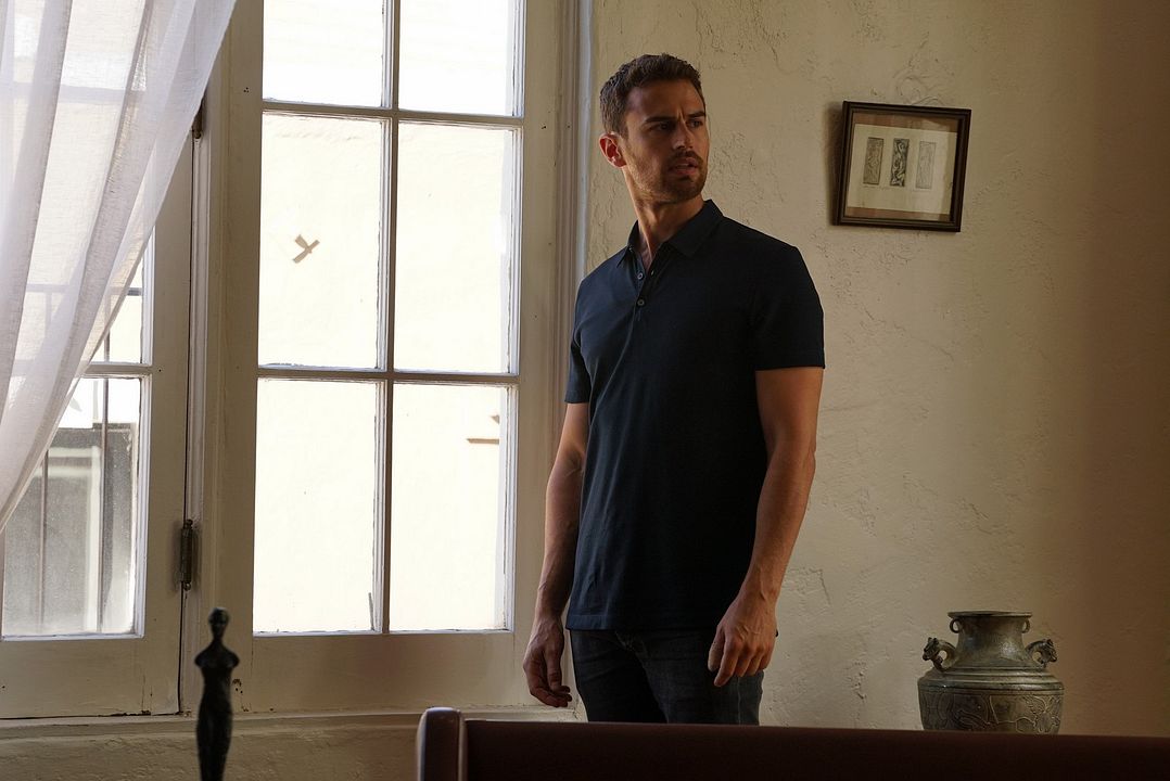 Arnaqueurs associés : Photo Theo James