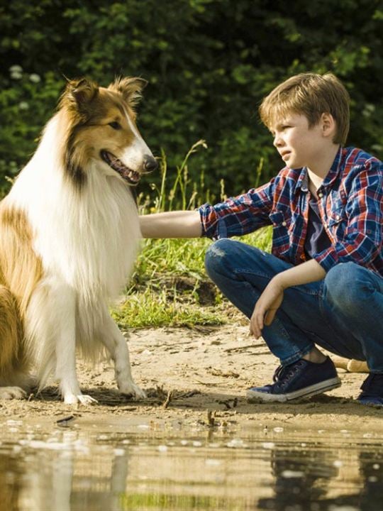Lassie, La route de l'aventure : Affiche