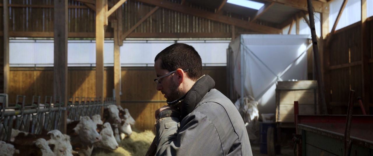 Cyrille, agriculteur, 30 ans, 20 vaches, du lait, du beurre, des dettes : Photo
