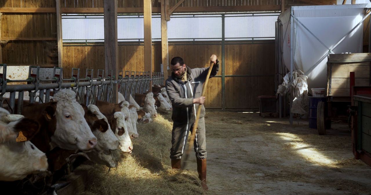 Cyrille, agriculteur, 30 ans, 20 vaches, du lait, du beurre, des dettes : Photo