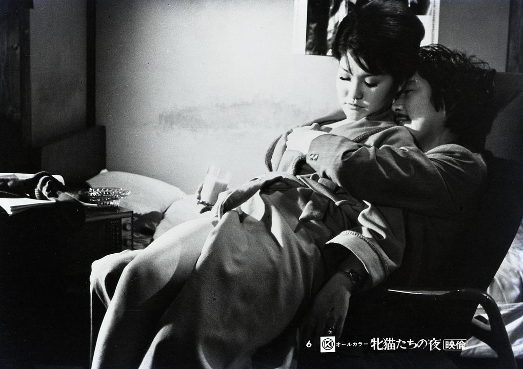 Nuits félines à Shinjuku : Photo