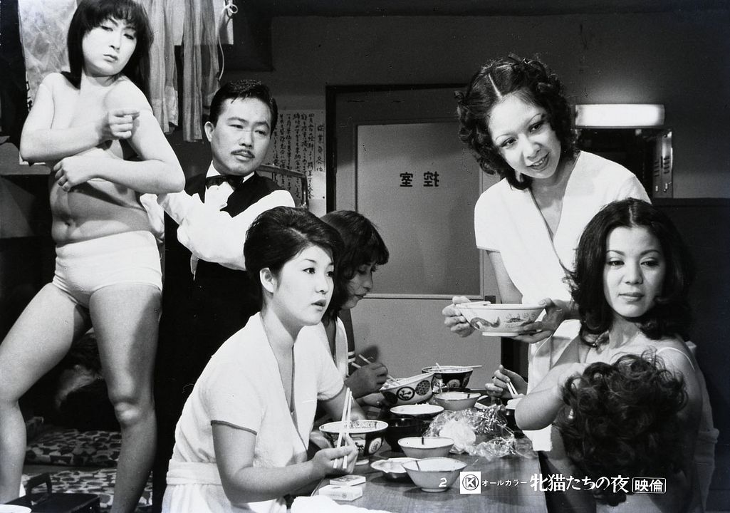 Nuits félines à Shinjuku : Photo
